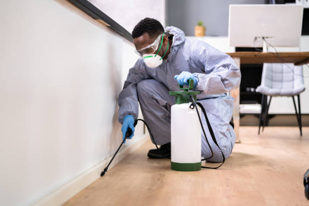 Professional Pest Control in Greenacres, FL